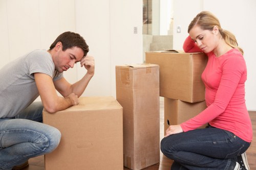 Risk assessment planning for a professional Paddington move